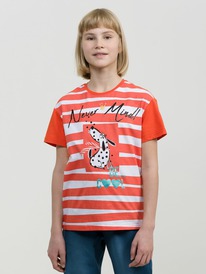 Pelican    GFT4270/2 