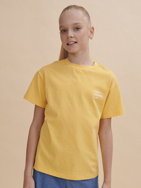 Pelican    GFT3352/1 