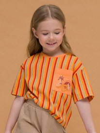 Pelican    GFT3317/1 