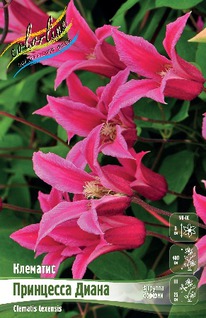 �������� ��������� �����