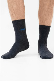 ���������� ������ (�������)