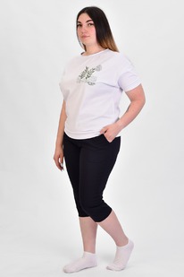 ����� � 461