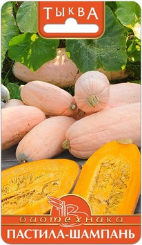 ����� �������-�������