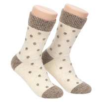 ����� ���������