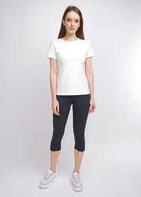 Clever �������� ������� CLE LL001� ������