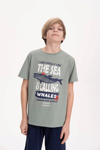 13.01 Pelican �������� ��� ��������� BFT3371 ������-�������