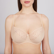 Aveline ����������� 660811 ���