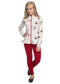 Clever ��������� ������� ��� ������� CLE 762491/61�� ������ ��.�������