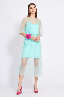 ������ EOLA 2425 ����