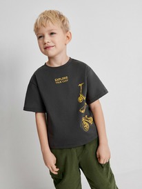 ����� �� 30.01 Acoola �������� ������� ��� ��������� Brownie 20120510296 �����-�