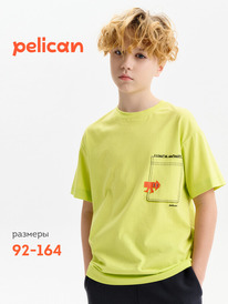 Pelican �������� ��� ��������� BFT3388/4 ��������