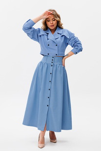 ������ AmberA 2068 �������