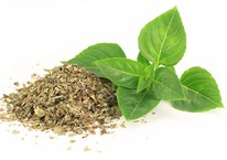 ������ 50��