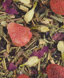 ������ ������� 