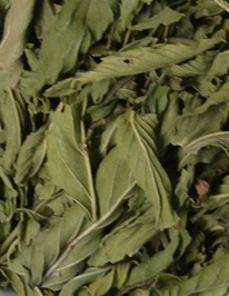 ���� ��������� ���� 80 �