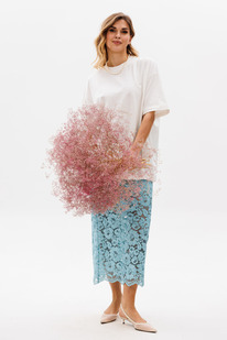 ���� EOLA 2847 ����