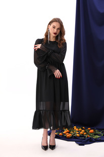 ������ NIKVA �929-1 ������