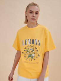 Pelican �������� ������� DFT6933/3U ������