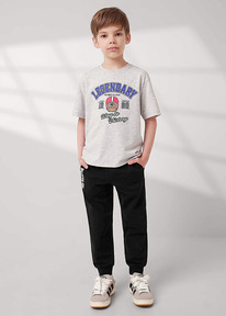 Clever ����� ������� ��� �������� CLE 757160/23�_� ������