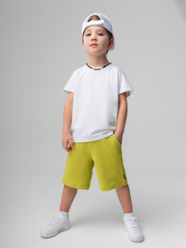 Bodo ����� 8-88�U 8-88�U �����������