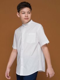 Pelican ������� ������� ��� ��������� BWCT7117 �����