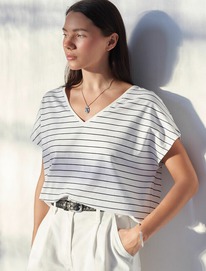 Vilatte �������� � V-������� � ������������� ������� �� ������������ ������ D49.