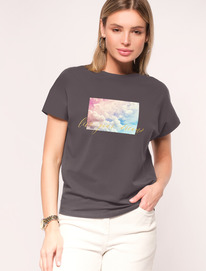 Vilatte �������� �� ���������� ������������ ������� � ������� ������� D49.020 ��