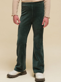 24.03 Pelican ����� ��� ������� GFPQ3337 ����