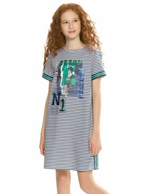 Pelican ������ ��� ������� GFDT4219/3 �����