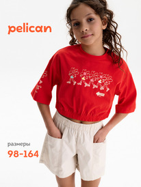 12.04  Pelican ��������-��� ��� ������� GFTY3388 �������