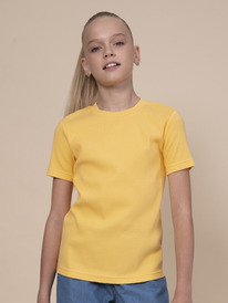 Pelican �������� ��� ������� GFT3352/5 ������