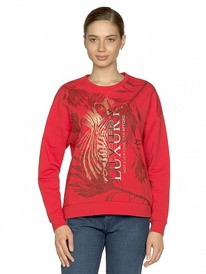 14.04 Pelican ��������� ������� DFN6828 �������