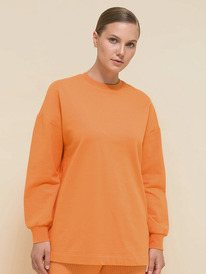 Pelican ������� ������� PFJ6930/1 ���������