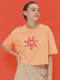 Pelican �������� (������"���") ������� DFTY6922U ���������