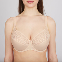 25.03  Aveline �����������661711 ���