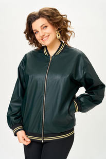 ������ Swallow 867.1