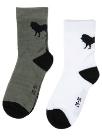 22.04 PlayToday ����� ����������� ��� ���������, 2 ���� � ��������� 12412234