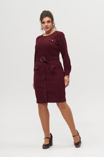 ������ ANELLI 881 �����