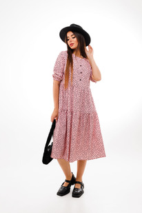 ������ ANELLI 833 �������