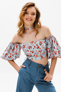 ��� EOLA 2650 �������+�����