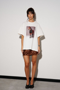 �������� ANNETE A2400/2