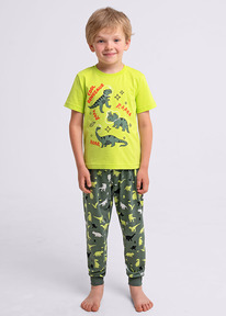 22.04 Clever �������� ���. CLE 909533��_� ������/��.������