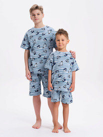 22.04 Pelican ������ ��� ��������� NFATH3371U �������