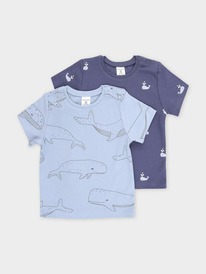 08.04 Crockid ������� (��������) �� � 301156-2��/�������,��������� ���� �����