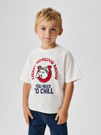 12.04  Acoola �������� ������� ��� ��������� Santa 20120510281 ��������