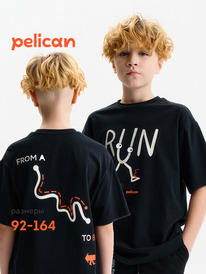 12.04  Pelican �������� ��� ��������� BFT3388/6 ������
