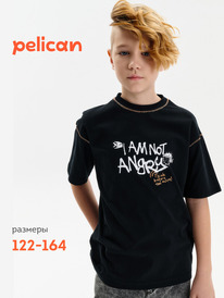 12.04  Pelican �������� ��� ��������� BFT3389/5 ������