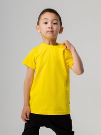 12.04  Bodo �������� 113-��6�� 113-��6�� ������