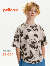12.04  Pelican �������� ��� ��������� BFT3387/2 ������-�����