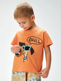 12.04  Acoola �������� ������� ��� ��������� Havel 20120510218 ���������